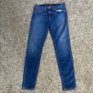Hudson Jeans Blue Skinny Denim